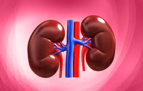 Nephrology