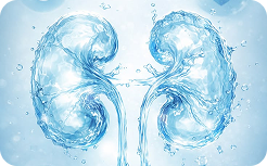 Nephrology