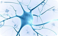 Neurology