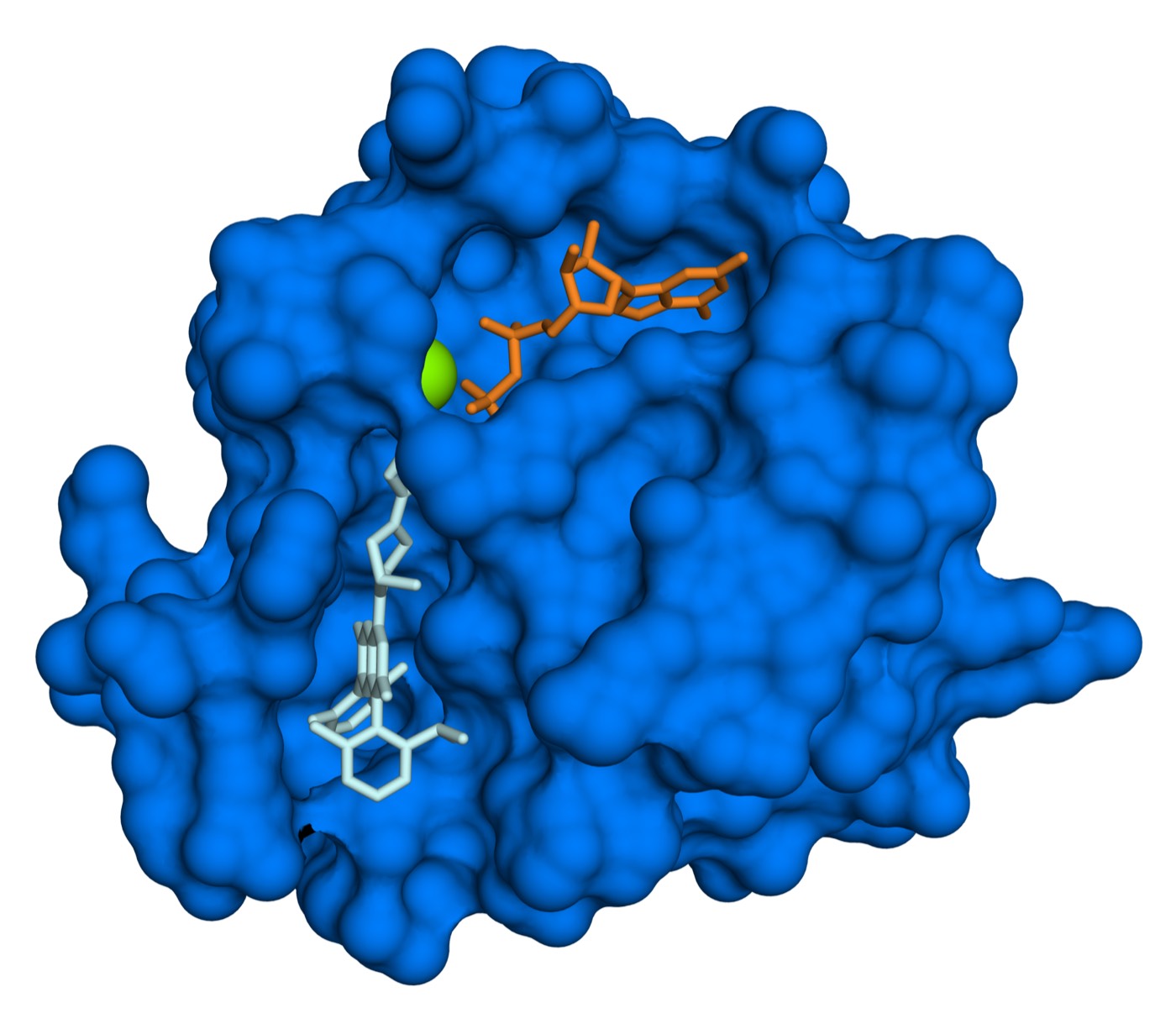 KRAS G12C Mutation and Lumakras (Sotorasib): A Complete Guide